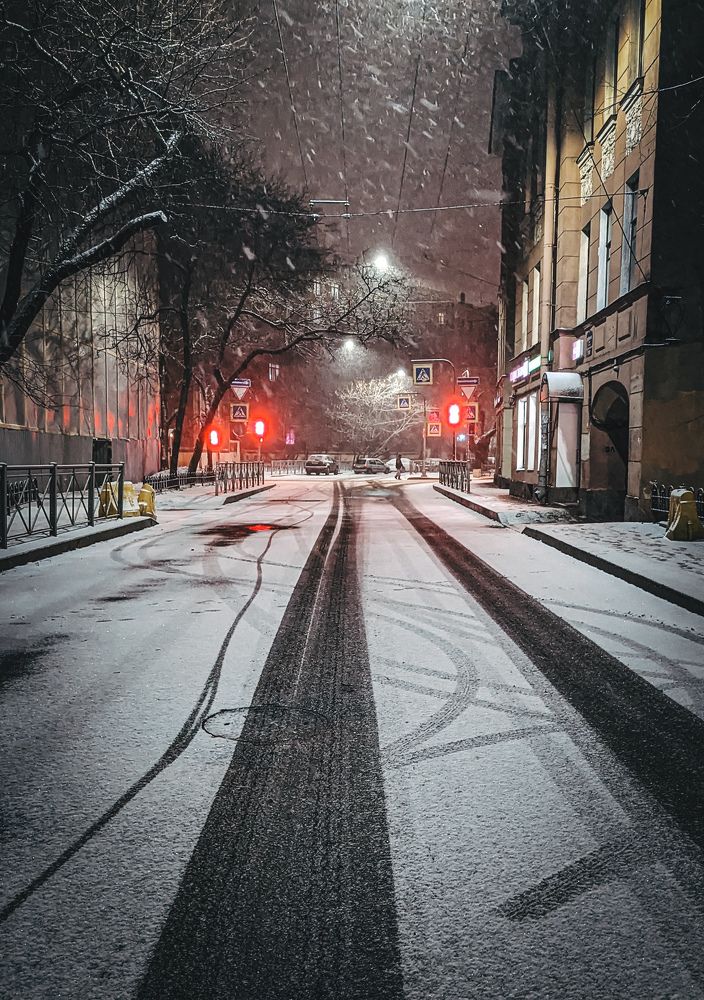 Фотография автора Ксения Шляйхер