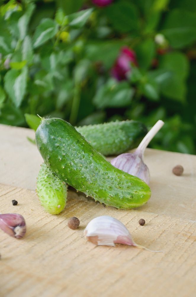 Photograph by Наталия Иванова