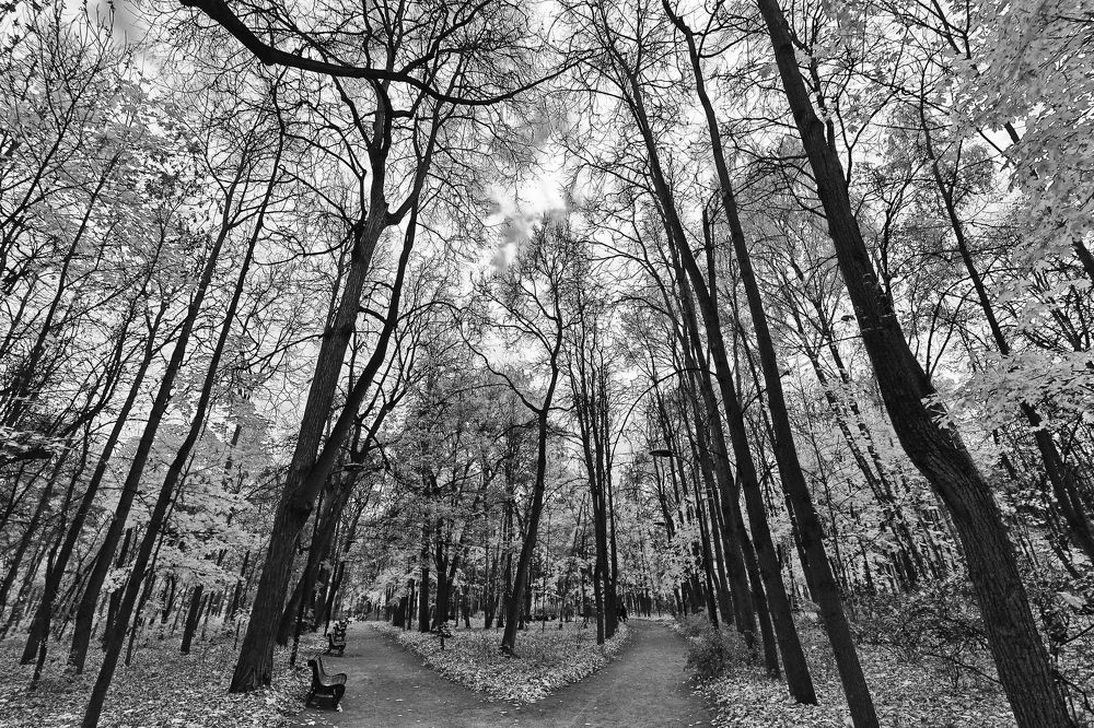 Москва, Нескучный Сад