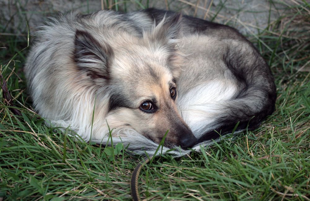 Photograph by Ионова Татьяна