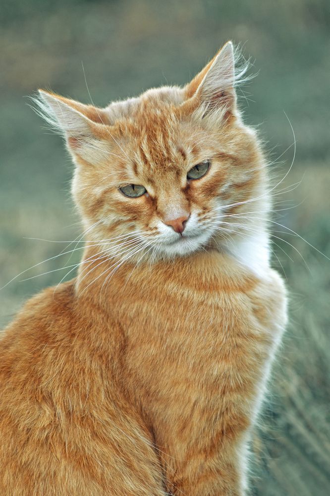 Photograph by Анна Дубинина