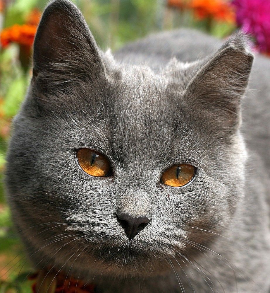 Photograph by PERESHEIN ANDREY