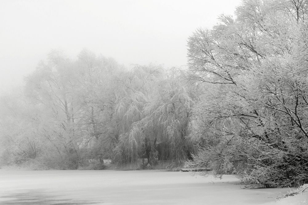 Photograph by Людмила Прибылова