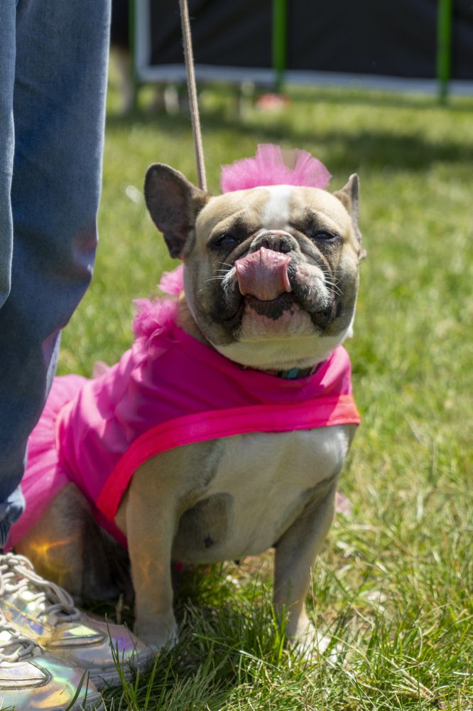 Фотография автора Ирина Зайцева