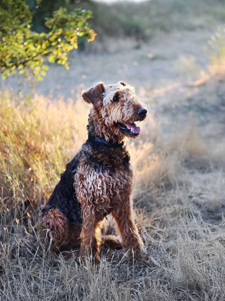 Photograph by Ольга Зиброва