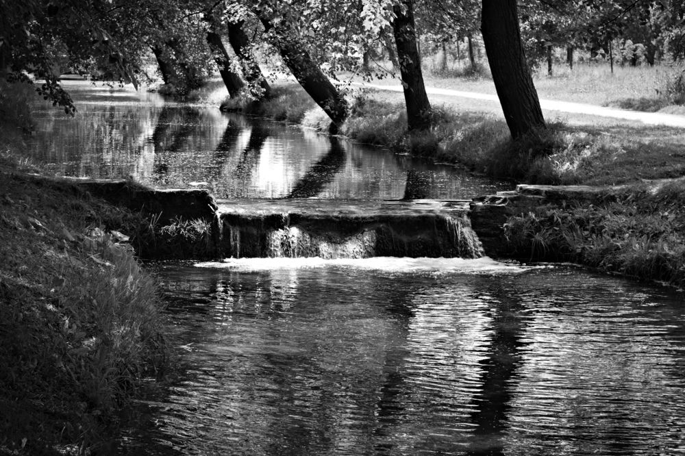 Фотография автора Александр