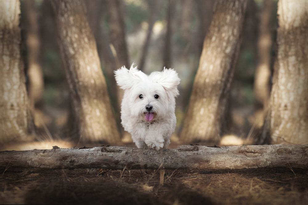 Фотография автора Ana Sánchez