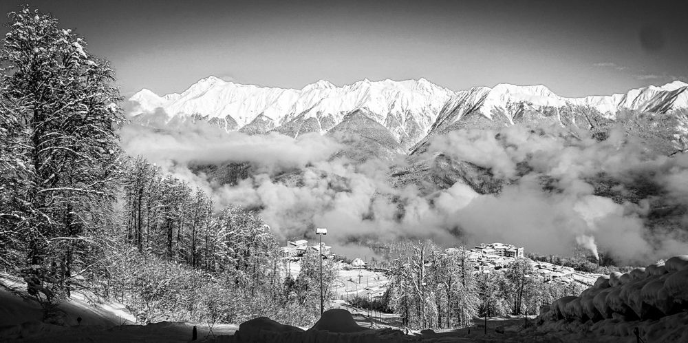 Фотография автора Elena Ku