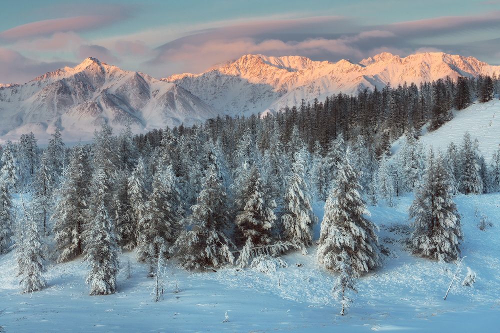 Photograph by Сергей Карпухин