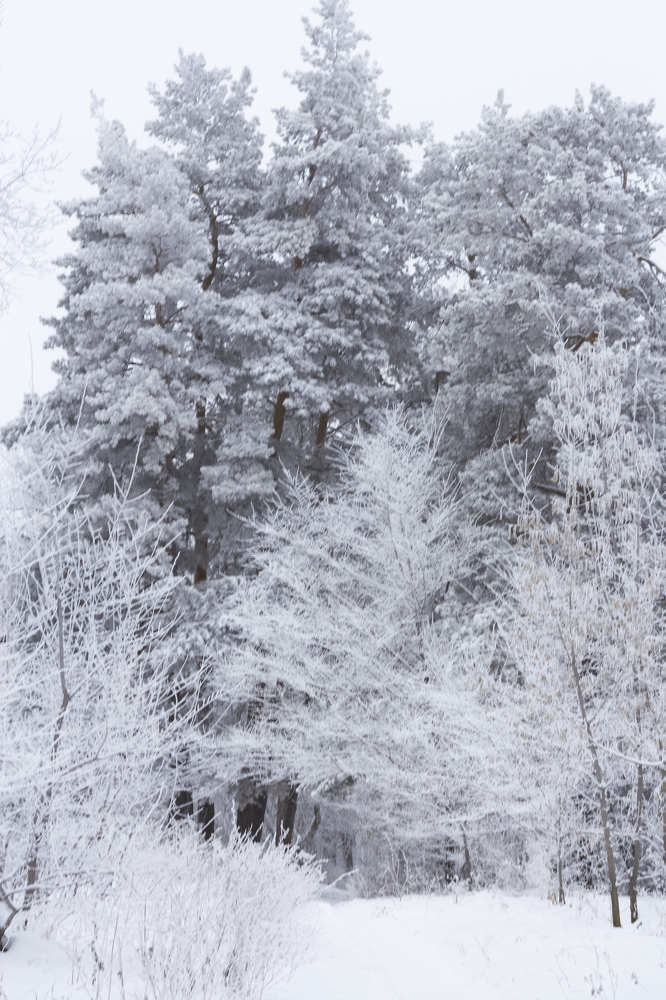 Photograph by Елена Глуховкина