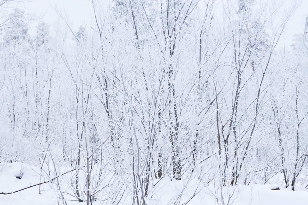 Photograph by Елена Глуховкина