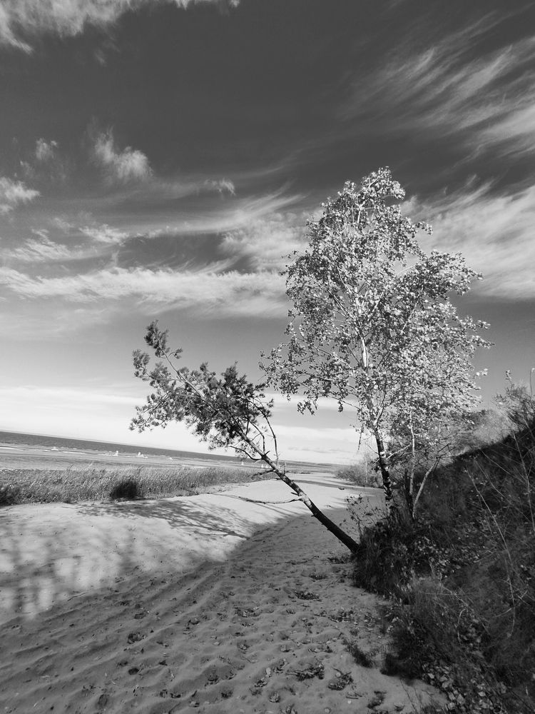 Photograph by Иван