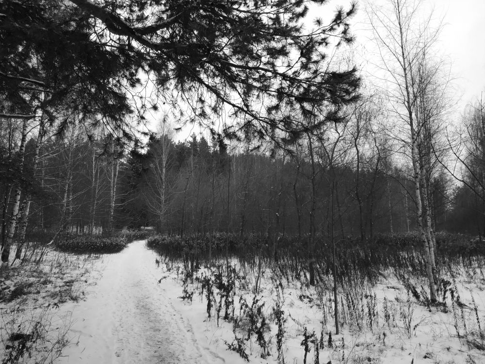 Photograph by Tatiana