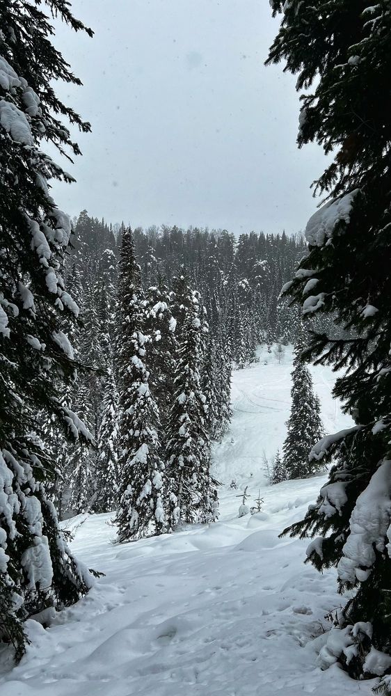 Photograph by Ирина Барышева