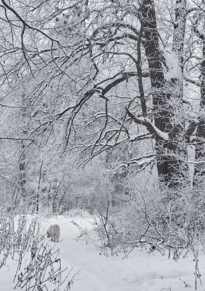 Photograph by Елена Глуховкина