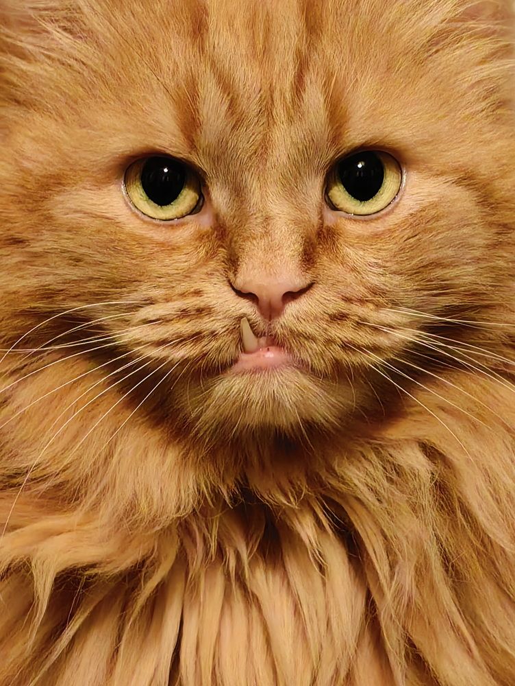 Photograph by Кристина Феминова