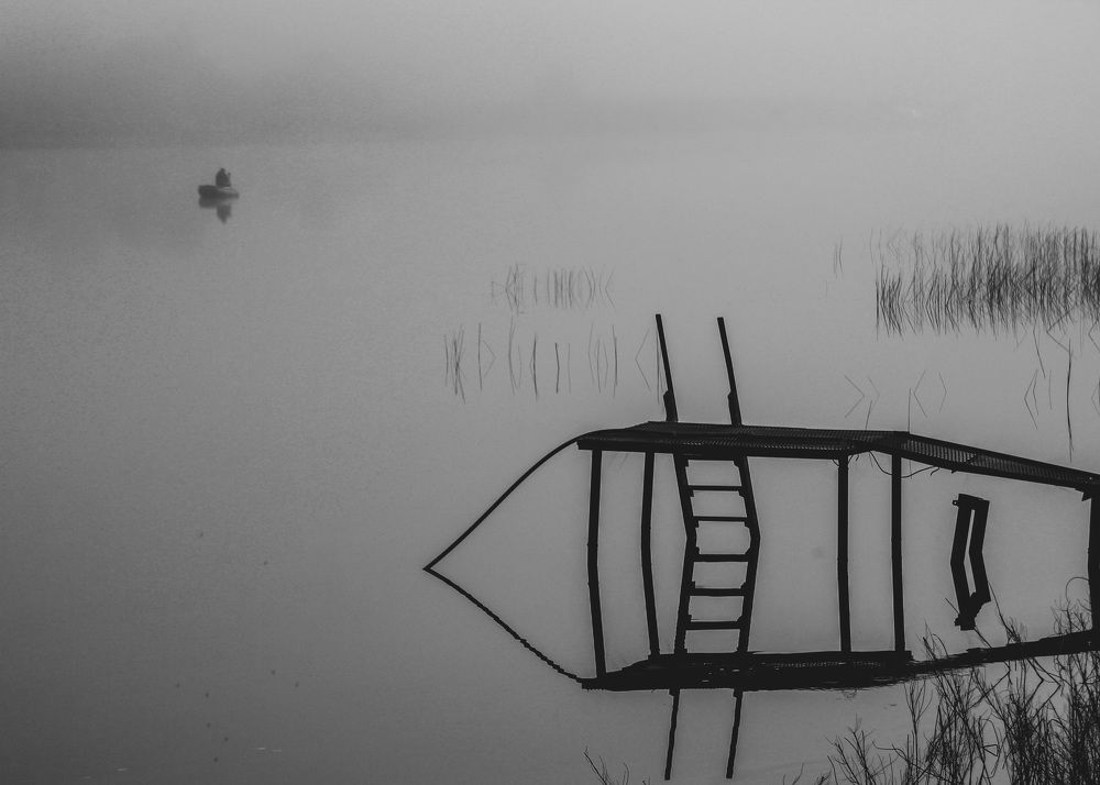 Photograph by Lev Kaufman