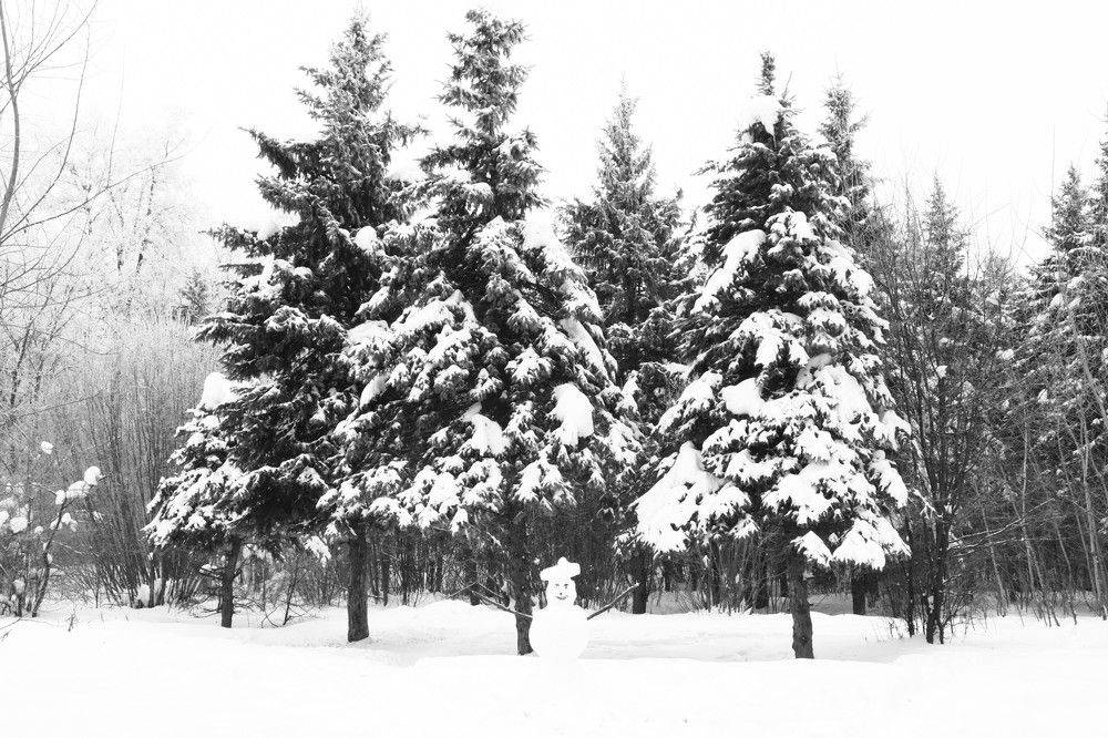 Photograph by Родосская Нонна