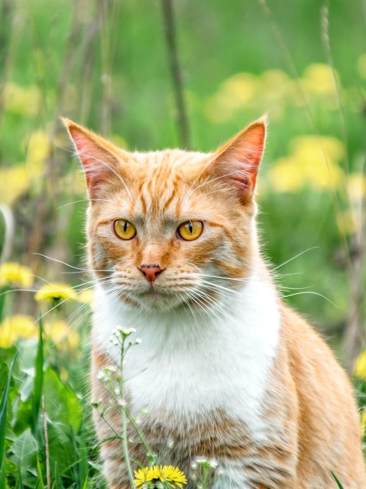 Photograph by Людмила Прибылова