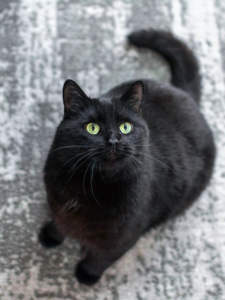 Photograph by Людмила Прибылова