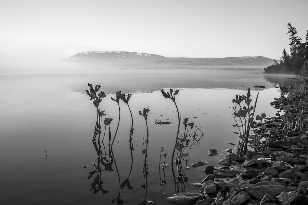 Photograph by Жданов Дмитрий