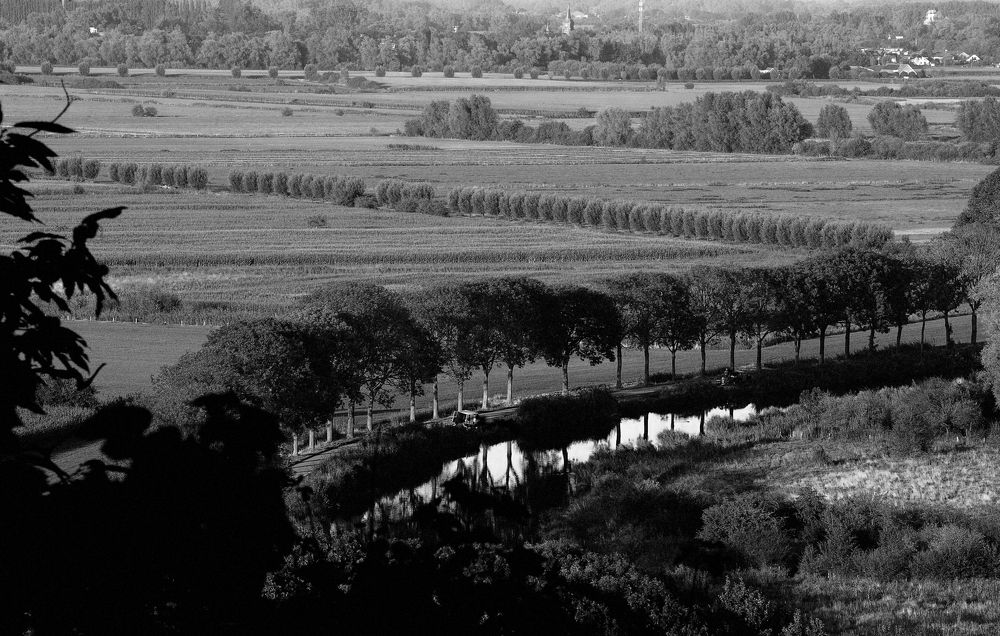 Photograph by Александр Гребенев