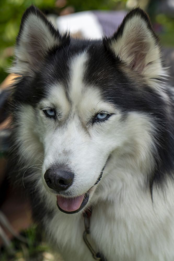 Фотография автора Ирина Зайцева