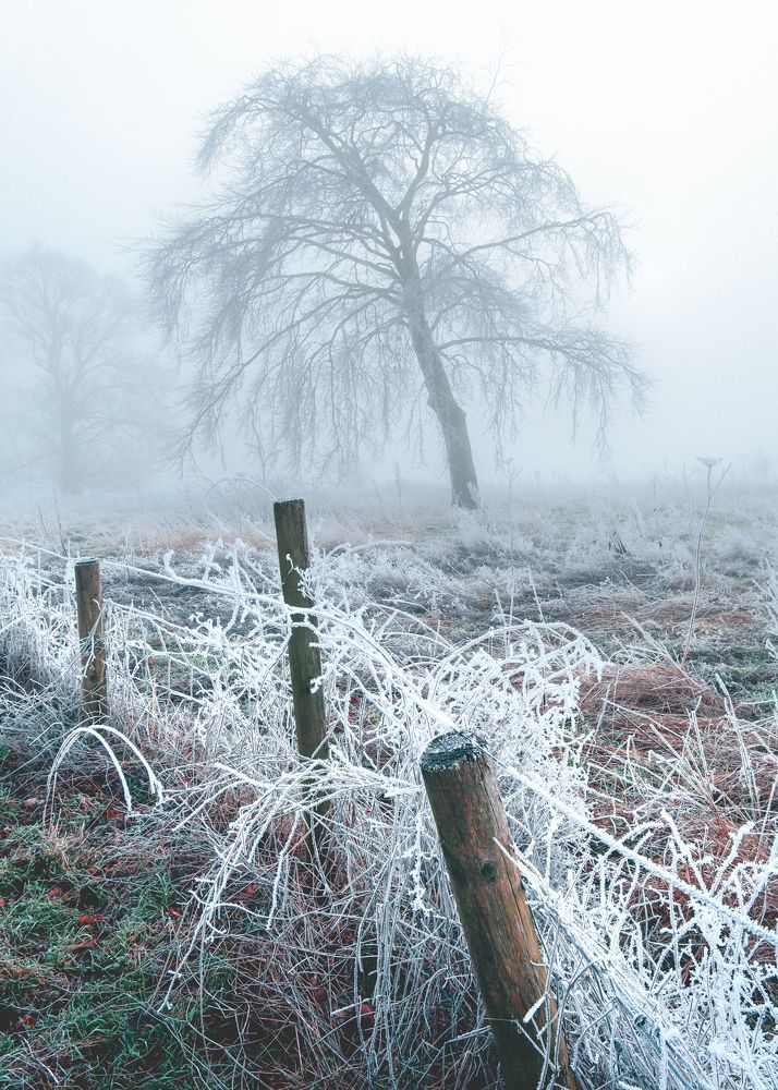 Frost and fog
