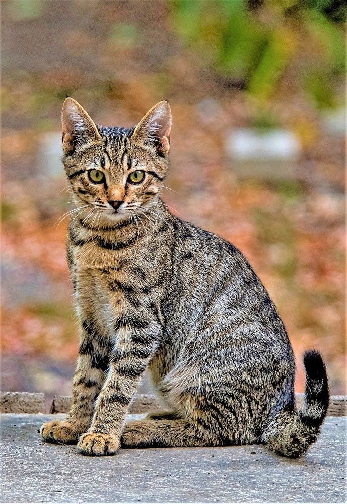 Photograph by Сиваков Алексей