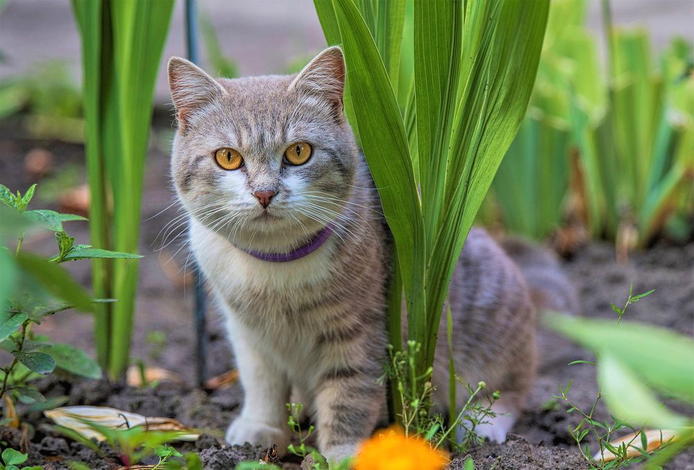 Photograph by Сиваков Алексей