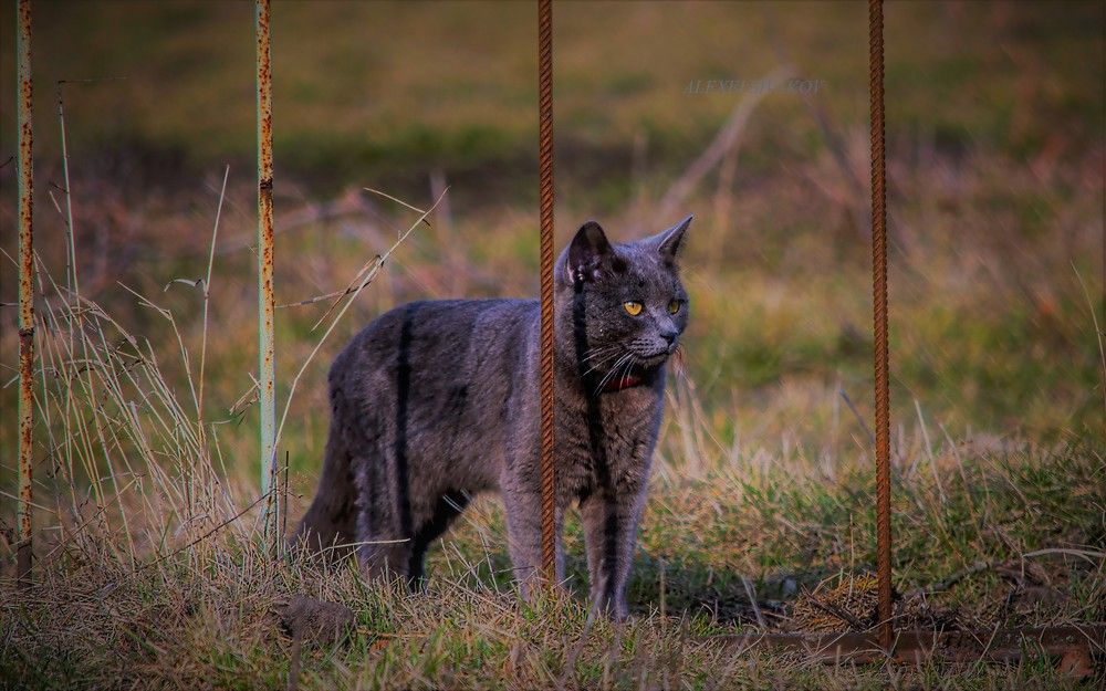 Photograph by Сиваков Алексей