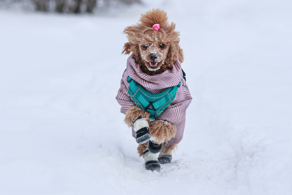 Photograph by Людмила Казак