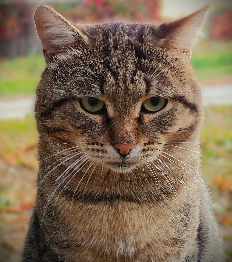 Photograph by Яна Галимуллина