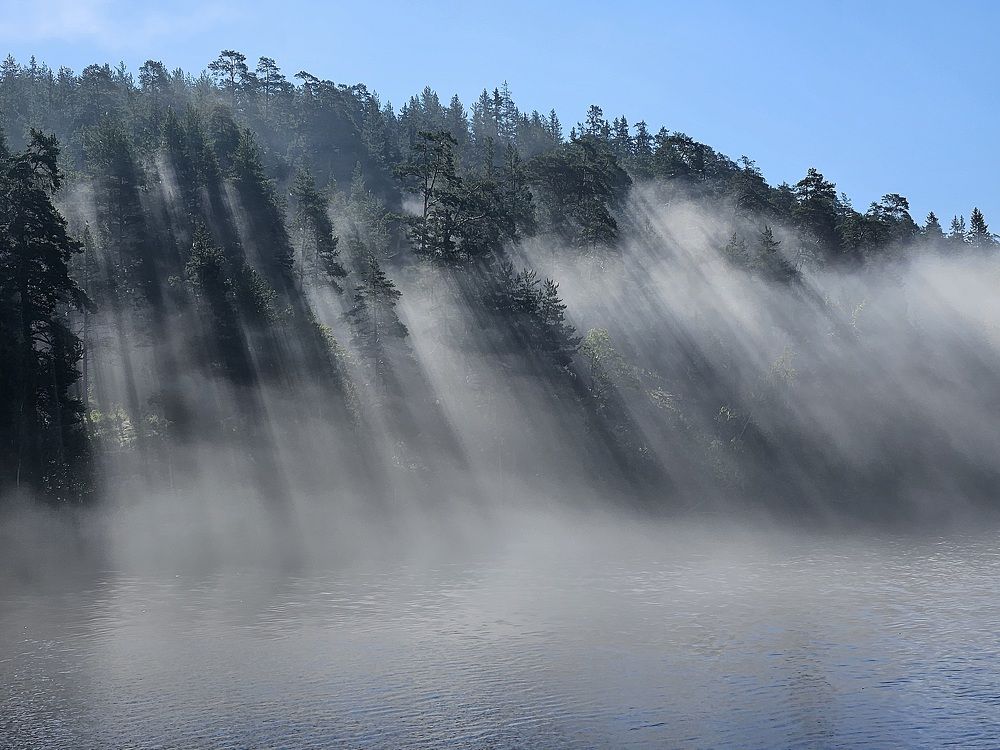 Photograph by Oleg Patrin