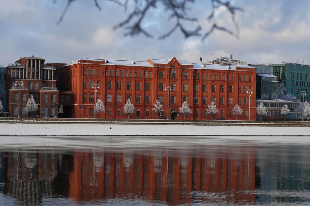 Фотография автора Светлана Зимина