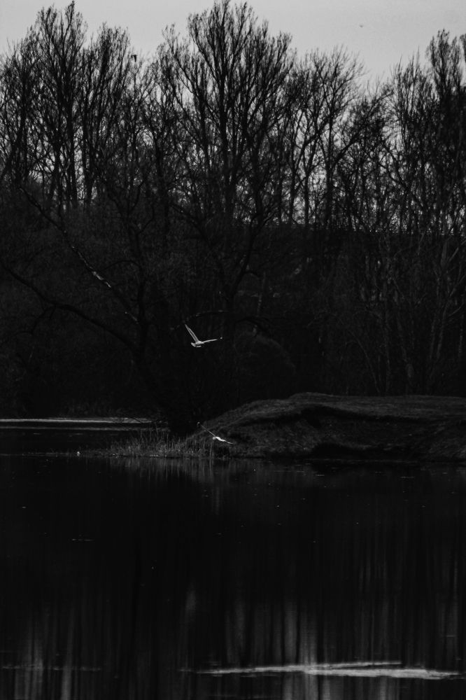 Photograph by Анастасия Псарёва