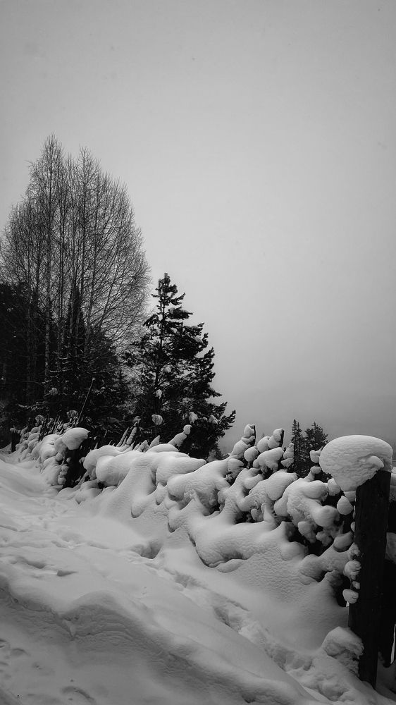 Photograph by Ирина Барышева