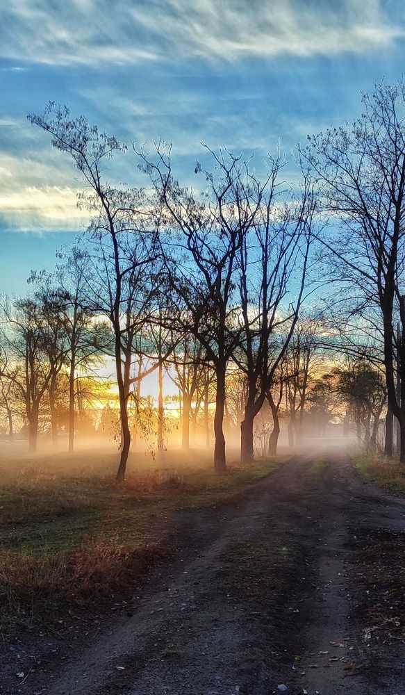 Photograph by Наталья Исиченко