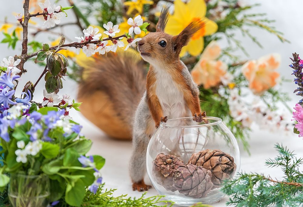 Photograph by Ольга Дядченко