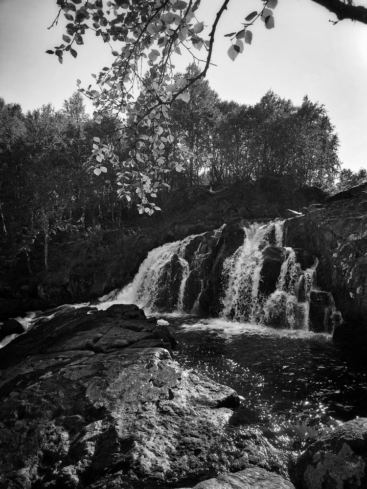 Фотография автора Ekaterina Biserova