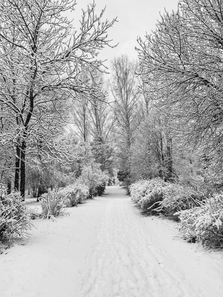 Photograph by Светлана Долганова