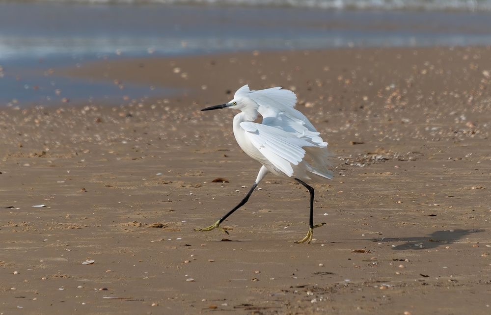 Photograph by Vladimir Bragilevsky