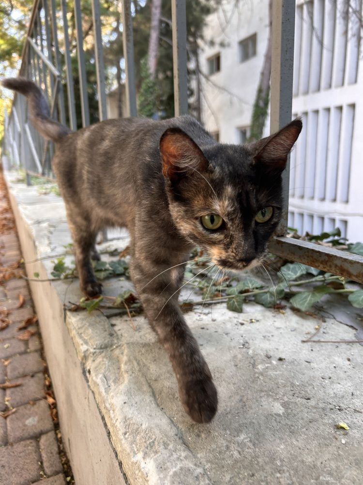 Photograph by Татьяна Дубовицкая