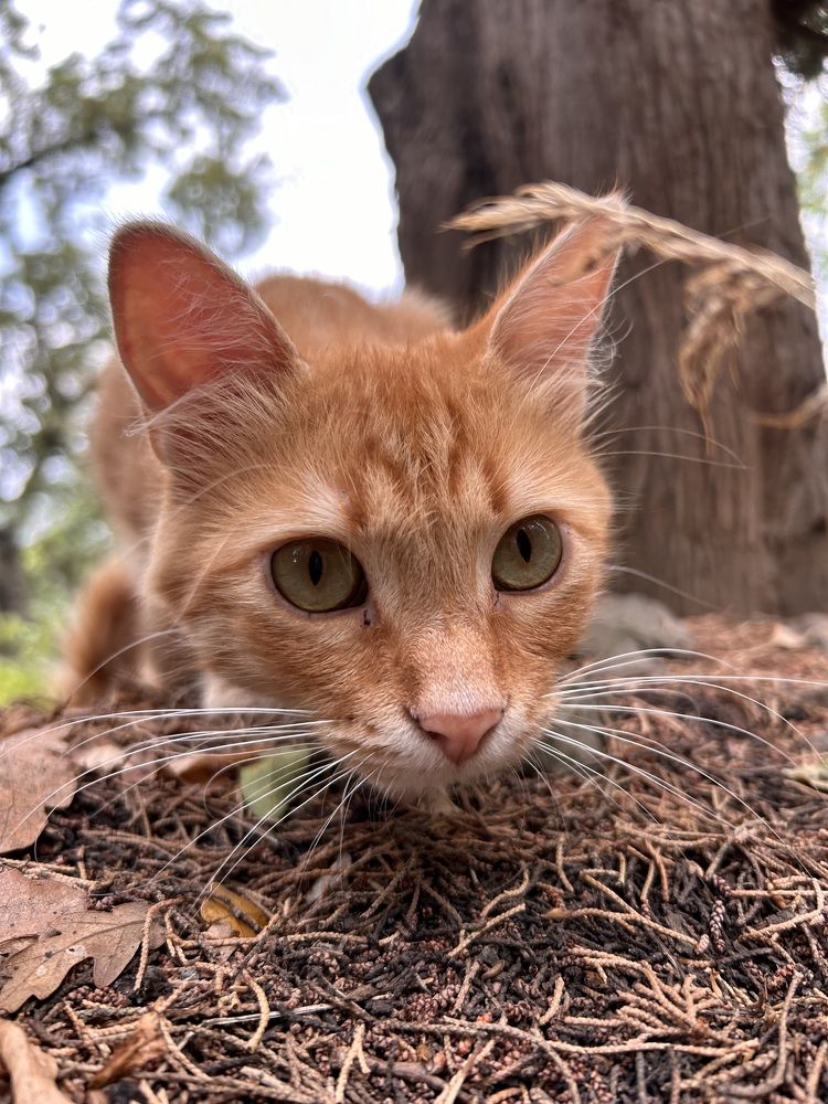 Photograph by Татьяна Дубовицкая