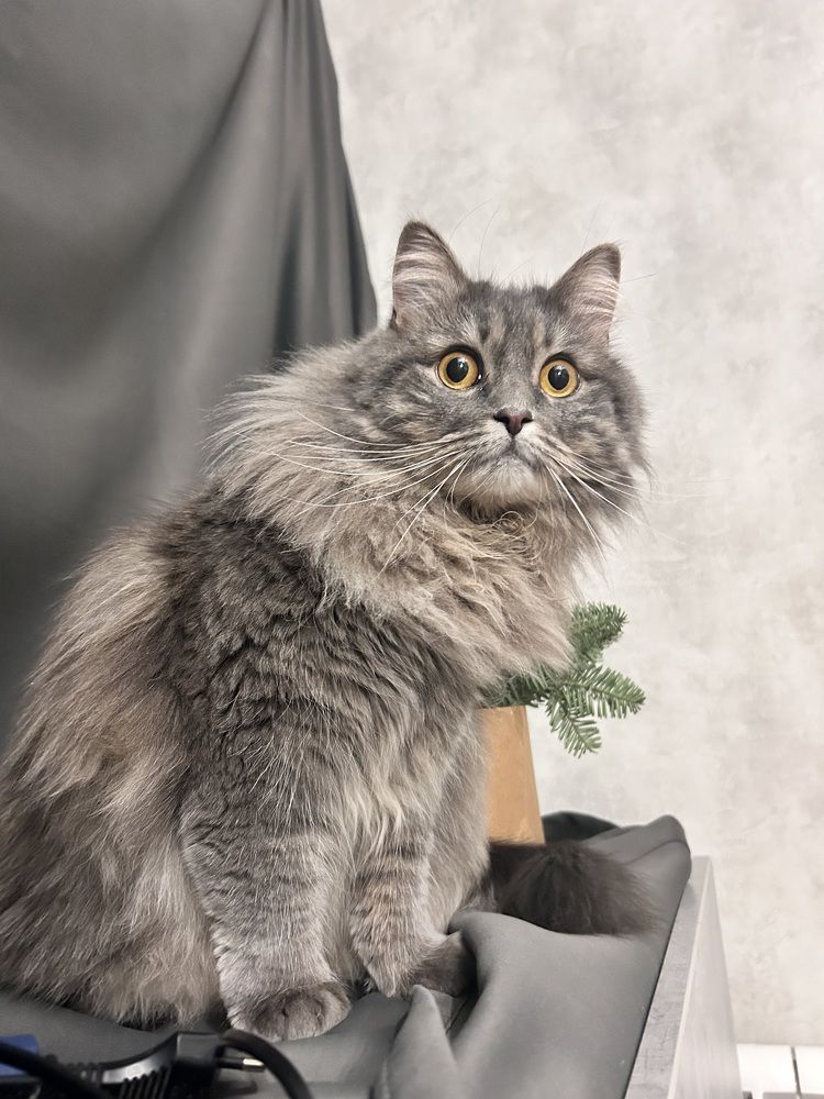 Photograph by Татьяна Дубовицкая