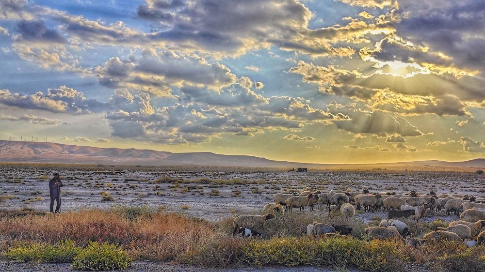 Photograph by Айдын Мехтиев