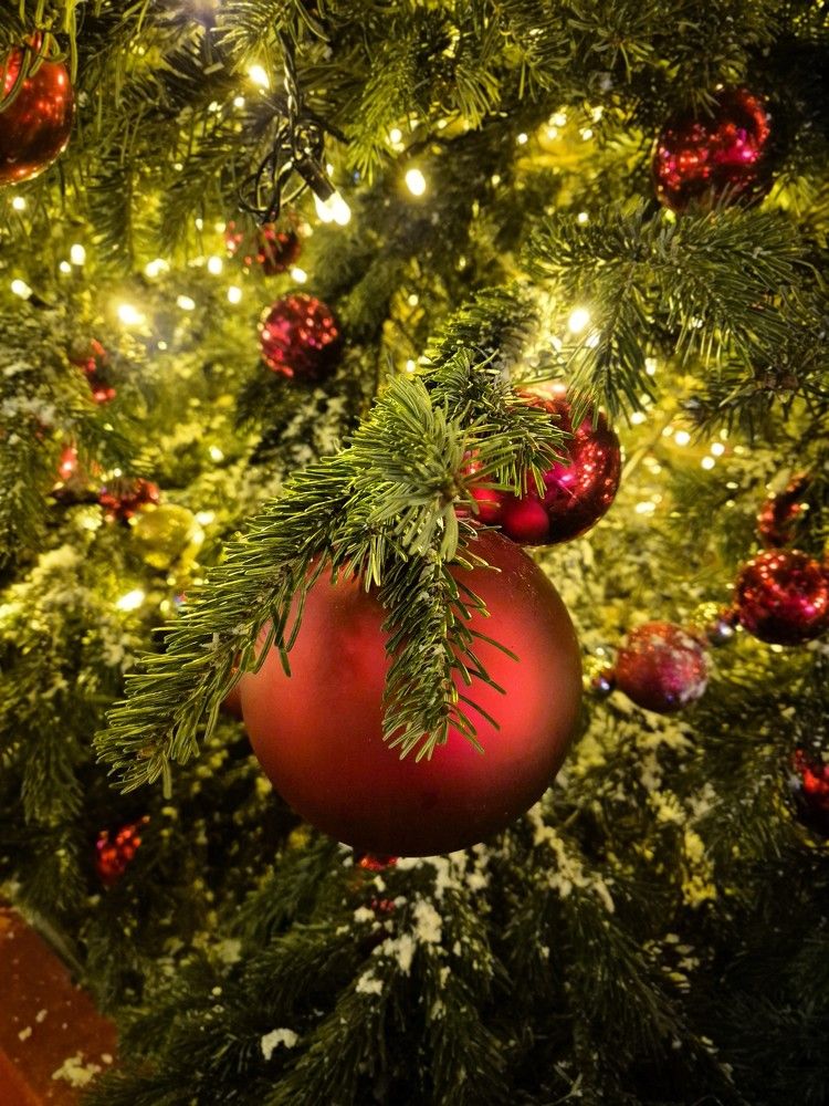 Photograph by Яна Галимуллина