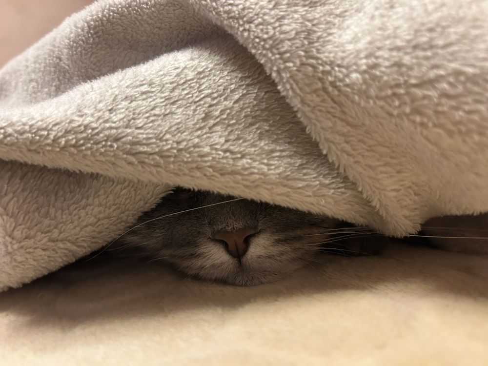 Photograph by Татьяна Дубовицкая