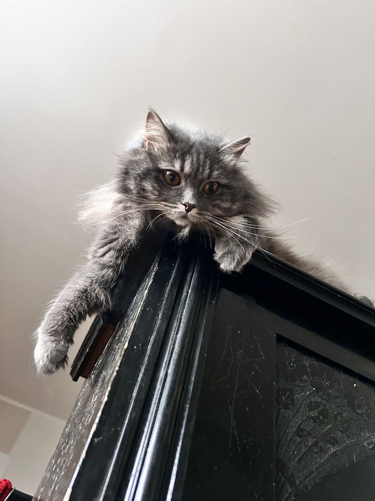 Photograph by Татьяна Дубовицкая