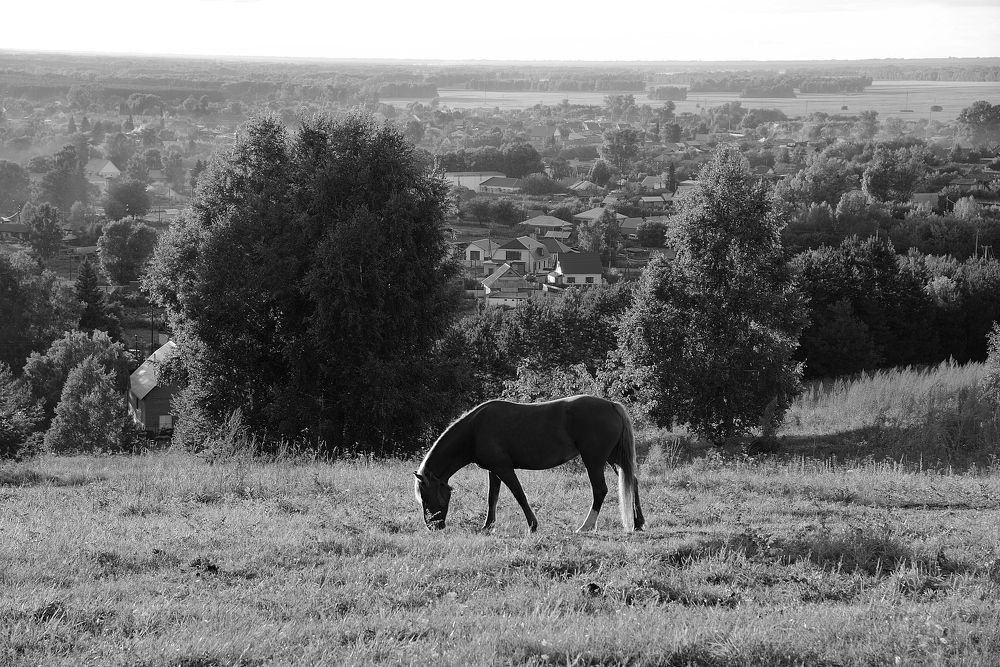 Photograph by Vitaliy